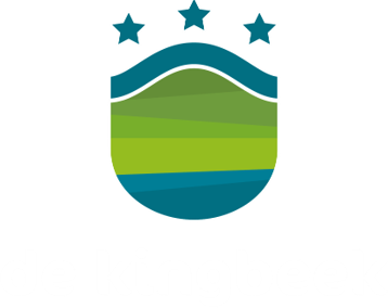 kingbeek logo